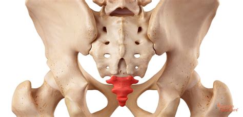 Steißbein Schmerzen Behandlung American Chiro Care