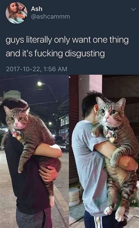 Big Ass Pussy R Catmemes