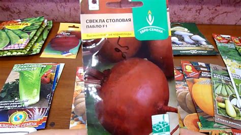 Свекла Пабло Описание Сорта Фото Отзывы – Telegraph
