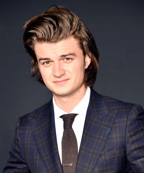 The One Product That's Making Steve Harrington's Hair So Big This