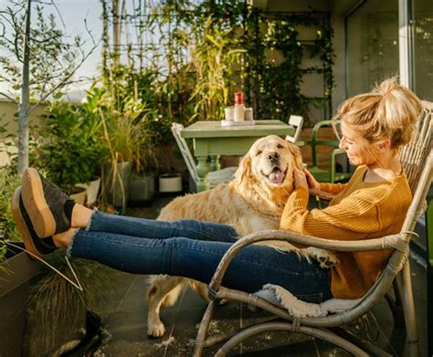 7 Easy Ways To Create Dog-Friendly Balcony | Housetodecor.com