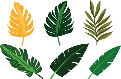 Tropical Leaves Set Vector Illustration 26182951 Vector Art At Vecteezy