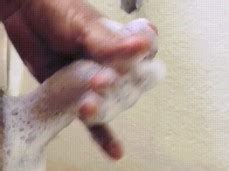 Me Vengo S Per Rico Gay Porn Pornhub