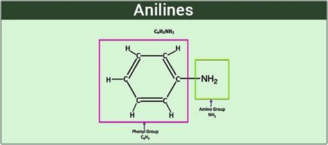 Anilines Careers Today