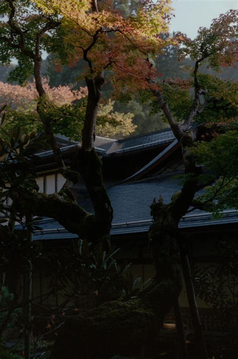 Naked In A Thermal Bath With Strangers You Just Ha Tumbex