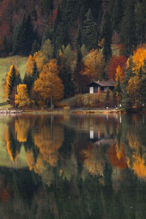 Whiskey Sex And Lies