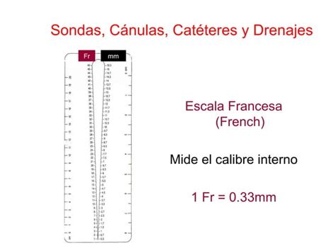 Copia De Sondas Y Drenajes Ppt