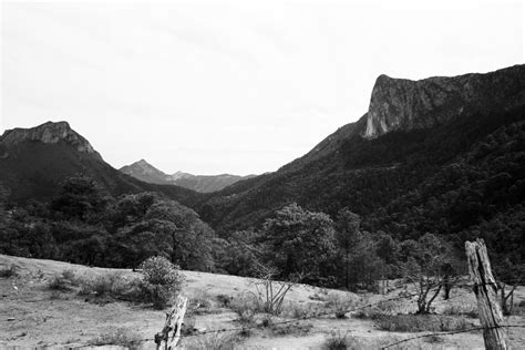 My thoughts on Silberra Pan 160 | Film Shooters Collective