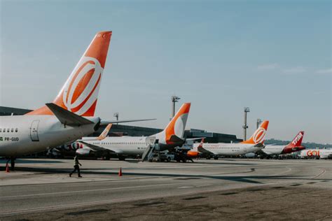 Anac vai endurecer regras para transporte de animais por aéreas