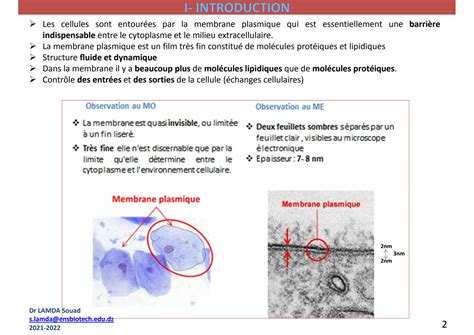 SOLUTION Chapitre 3 Biologie Cellulaire La Membrane Plasmique 2023