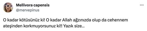 Yeni Akit Milli Voleybolcu Ebrar Karakurt u Skandal İfadelerle Hedef Aldı