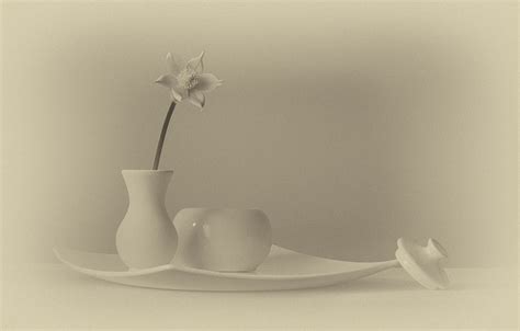 Изумительные натюрморты для вдохновения – 39 фотографий