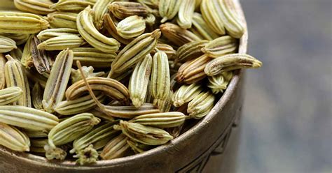 Seasoning & Healing Effects of Fennel Seed | Foodal