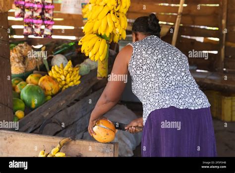 Hagala Sri Lanka March 26 2019 A Local Sri Lankan Woman Prepares A