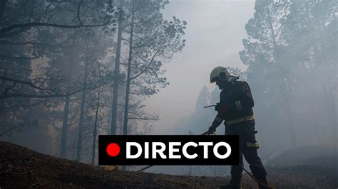 Incendio En Tenerife En Directo Dan Por Estabilizado El Incendio