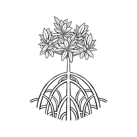 black and white illustration of mangrove trees 45906438 Vector Art at
