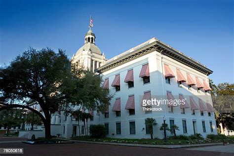 Tallahassee Capitol Building Photos and Premium High Res Pictures ...