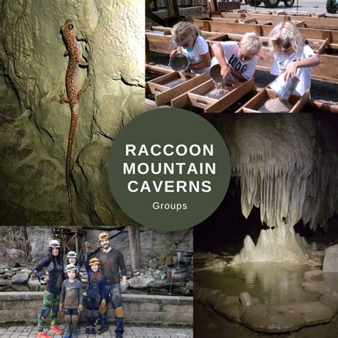 Groups - Raccoon Mountain Caverns