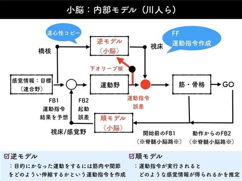 運動コントロールモデル – 運動のコントロール 論文 – YVRNNV