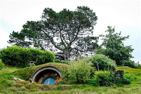 Hobbiton New Zealand: How To Visit The Shire Movie Set