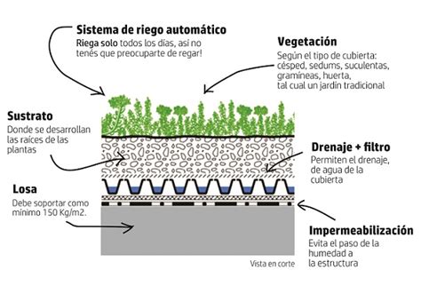 Techos Verdes