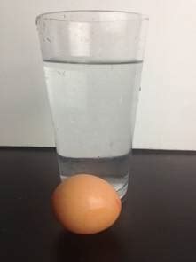 The Naked Egg Experiment Free Science Experiments