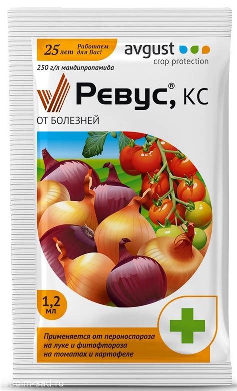 Фунгицид Ревус: инструкция по применению для томатов и др, срок ...