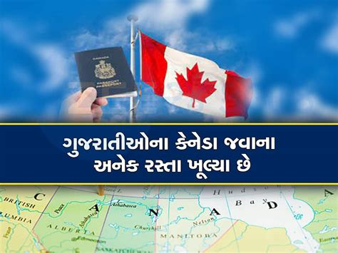 Indians Gujarati People Craze For Canada Best Way To Study Abroad