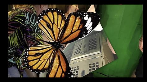 Body Painting Videos Xvideos