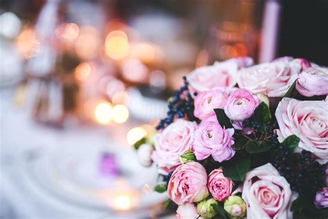 Free Images Bokeh Plant Petal Pink Wedding Flowers Close Up