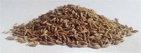 Cumin Facts Health Benefits Consumption And Side Effects Aspiring Nirvana