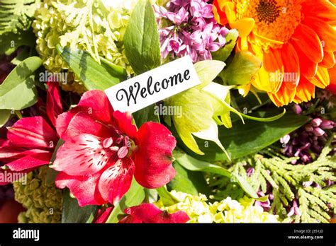 What Flowers Mean Welcome Home At Samantha Brabyn Blog