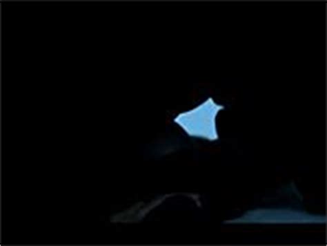 Erin Cardillo Nude Pics Videos Sex Tape