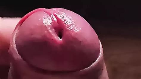 Neue Boxer Free Gay Amateur Masturbation Porn Video XHamster