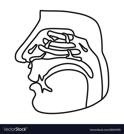 Nasopharynx Iconoutlineline Icon Royalty Free Vector Image