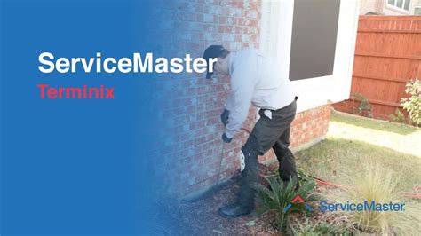 Terminix Termite Services Servicemaster Youtube