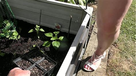 Garden Milf Videos Xvideos