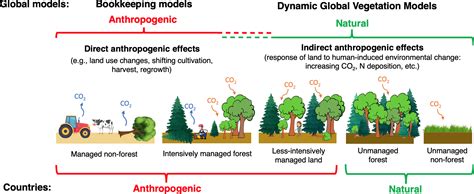 ESSD Harmonising The Land Use Flux Estimates Of Global Models And