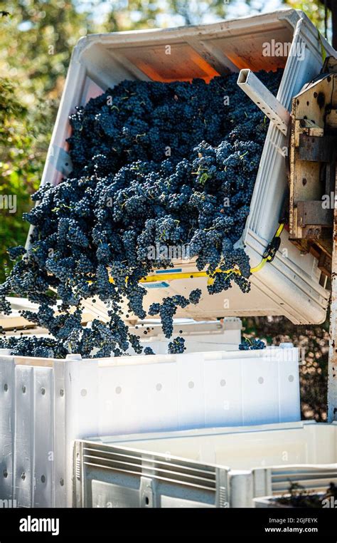 Syncline Wine Cellars Hi Res Stock Photography And Images Alamy