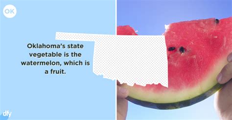 Embarrassing Facts About Each U.S. State (50 pics)