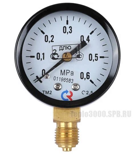 Манометры Росма ТМ-210P радиальные 50 мм 0–0,6 МПа. Цены, отзывы ...