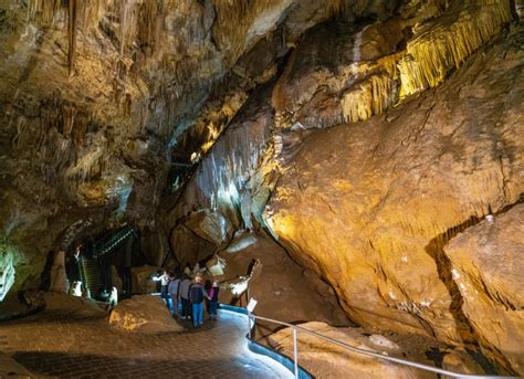 Hastings Caves and Thermal Springs Pool - The Huon Valley Southern Tasmania