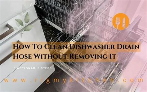 How To Clean Dishwasher Drain Hose Without Removing It 5 Actionable