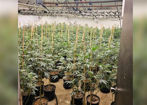 Renewable energy plants are coming to the county of merced ca 11