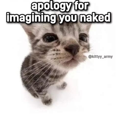 Funny Cat Meme Apology For Imagining You Naked