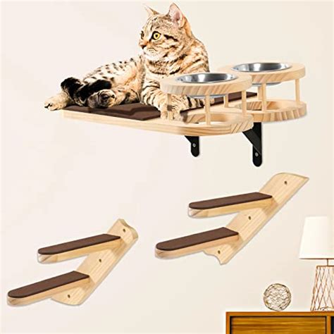 Indoor Cat Feeding Station 2024 Vet Ranch We Love Pets
