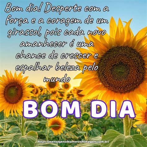 Bom Dia Com Girassóis - Mensagens de bom dia com girassois