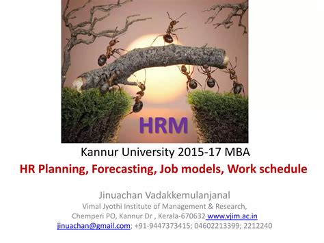 Hrm Planning Forecasting Job Models Work Schedule Strategic