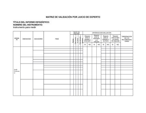 Matriz De Validaci N Por Juicio De Experto Modelo Matriz De