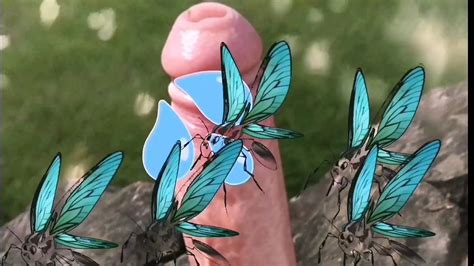 Free Insect Porn Videos XHamster